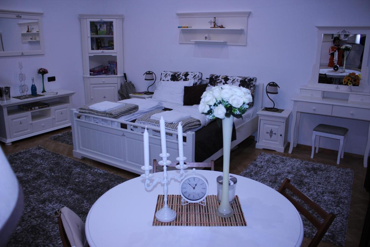 Ella Apartment Timisoara No11 Bagian luar foto
