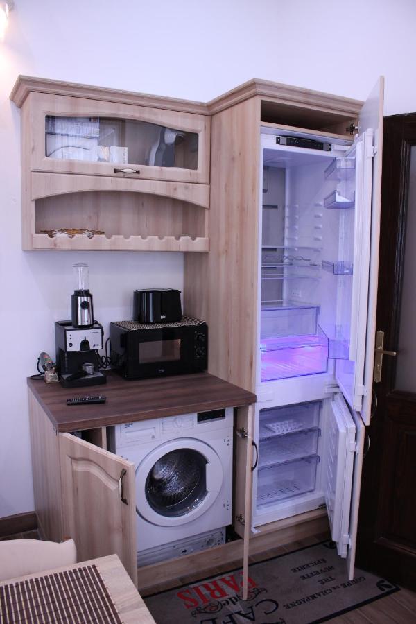 Ella Apartment Timisoara No11 Bagian luar foto