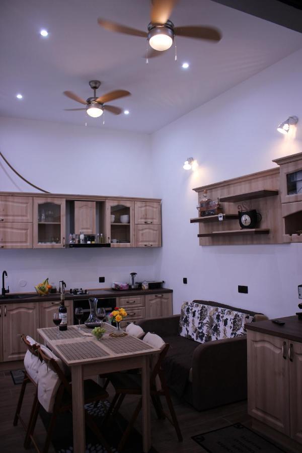 Ella Apartment Timisoara No11 Bagian luar foto
