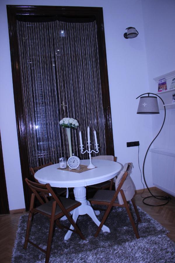 Ella Apartment Timisoara No11 Bagian luar foto
